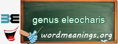 WordMeaning blackboard for genus eleocharis